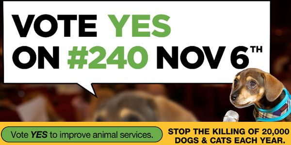 Campaign Slide